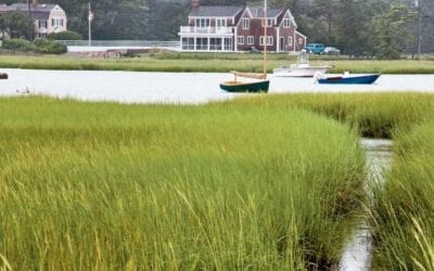 Duxbury: Town to Hold Special Election After Board of Selectmen Member Steps Down
