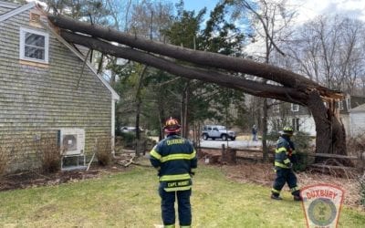 DXFD has responded to a couple #wind #weather related calls in the last hour including this large tree into a house on Harrison St.