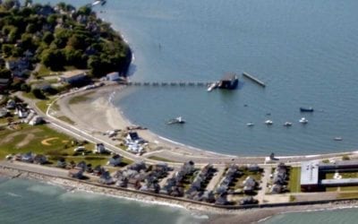 Hull Election Results