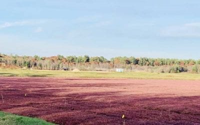 Plympton: Board of Selectmen Ends Every Meeting with Positive News