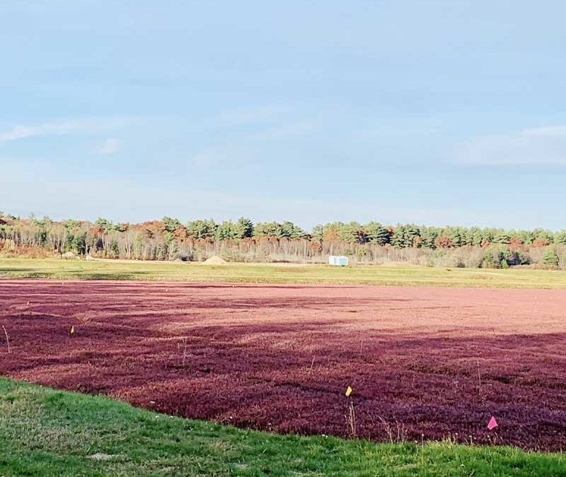 Plympton: Board of Selectmen Ends Every Meeting with Positive News