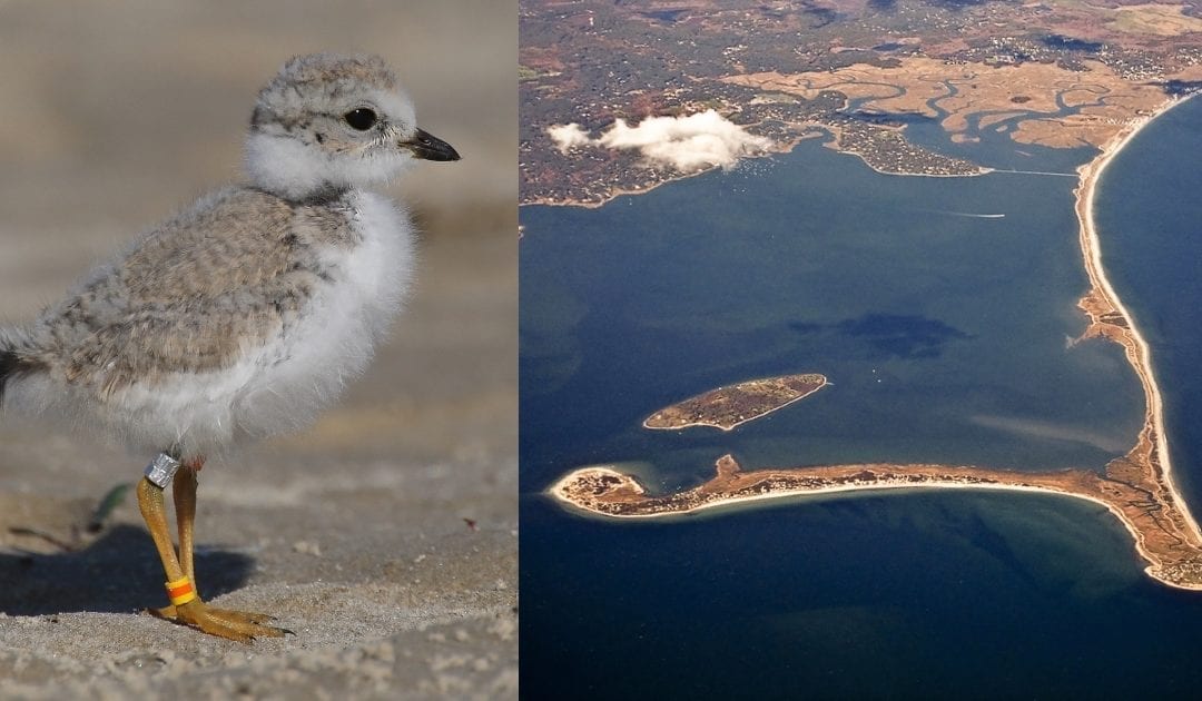 Duxbury: Town Officials Emphasis Beach Access Limitations