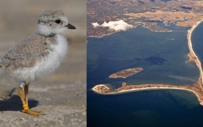 Duxbury: Town Officials Emphasis Beach Access Limitations