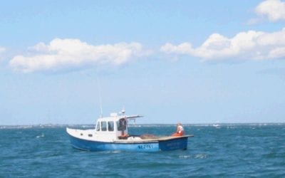 Plymouth: Fishing Industry Facing Challenging Times