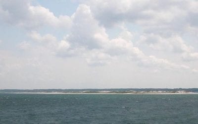 ‘Save the Bay’ Protest Held in Plymouth Amid Concerns of Potential Dumping of Radioactive Waste into Cape Cod Bay