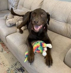 Monday, June 8, 2020