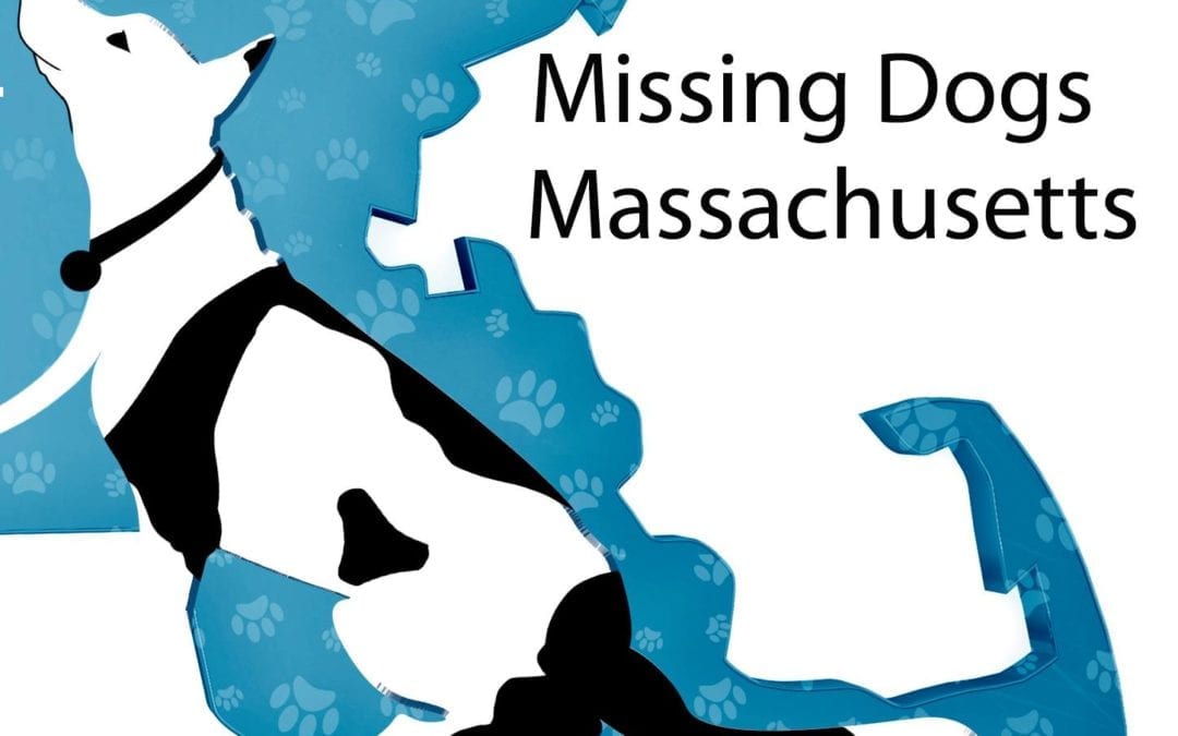 The Morning Show – Tues., July 28, 2020