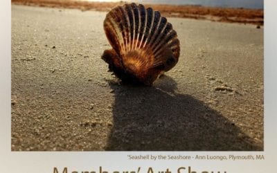 The Morning Show – Wed., July 29, 2020