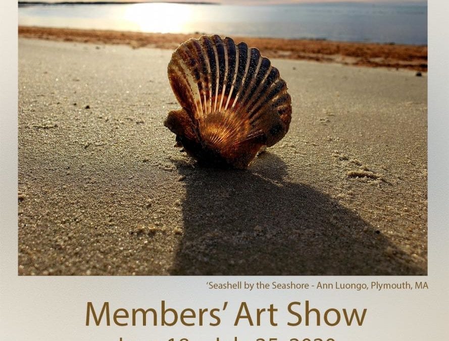 The Morning Show – Wed., July 29, 2020