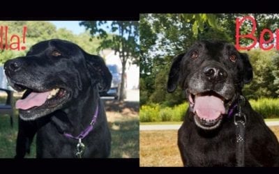 Dynamic Duo = Double the Love!