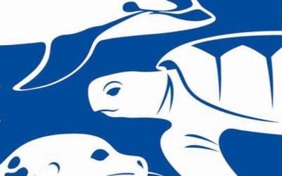 The Morning Show – Tues., Sept. 1, 2020