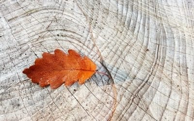 The Morning Show – Mon., Sept. 21, 2020