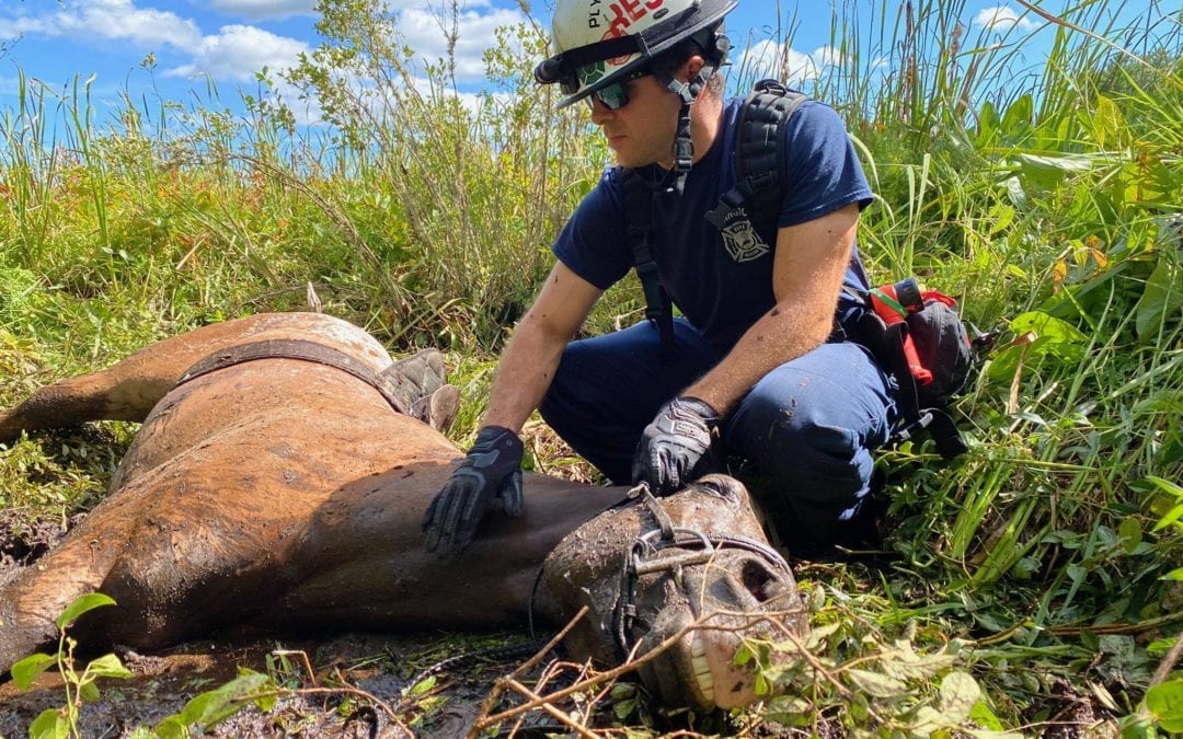 Hanson: Plymouth County Technical Rescue Team Helps Free Horse Stuck in the Mud