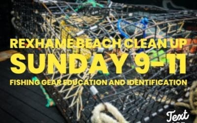 Marshfield: Beach Clean Up Day at Rexhame Beach this Sunday