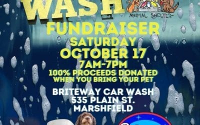 The Morning Show – Tues., Oct. 13, 2020