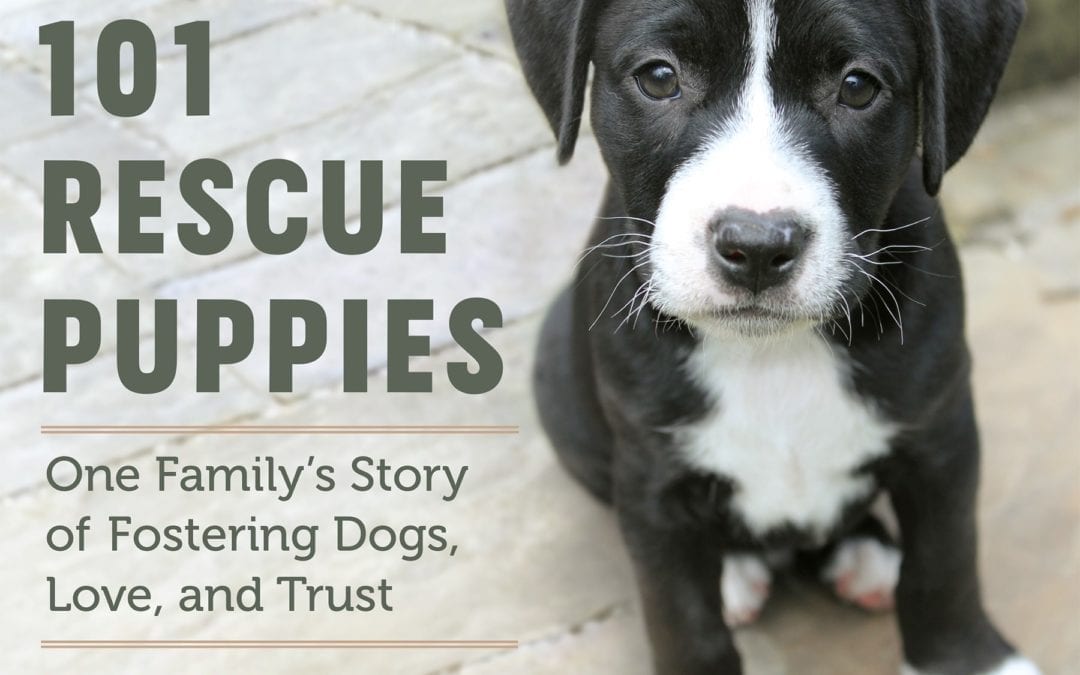 The Morning Show: Tues., Nov. 17, 2020