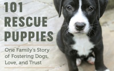 The Morning Show: Tues., Nov. 17, 2020