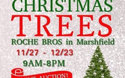 Marshfield: Volunteers Still Being Sought For XMas Tree Fundraiser