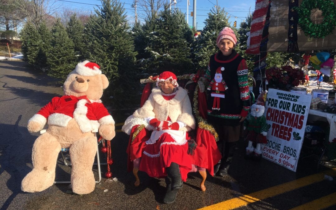 Marshfield: Volunteers Being Sought For Tree Sale