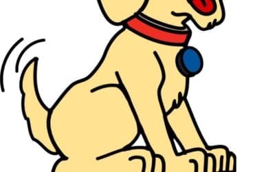 The Morning Show: Tues., Dec. 15, 2020