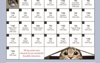 The Morning Show: Tues., Dec. 29, 2020