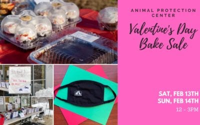 The Morning Show: Tues, Jan. 19, 2021