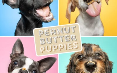 The Morning Show: Tuesday, March 2, 2021