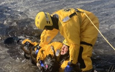 Dog Rescued in Hanson After Falling Thru the Ice