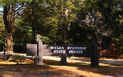 Crews Respond To Fire At Myles Standish State Forest