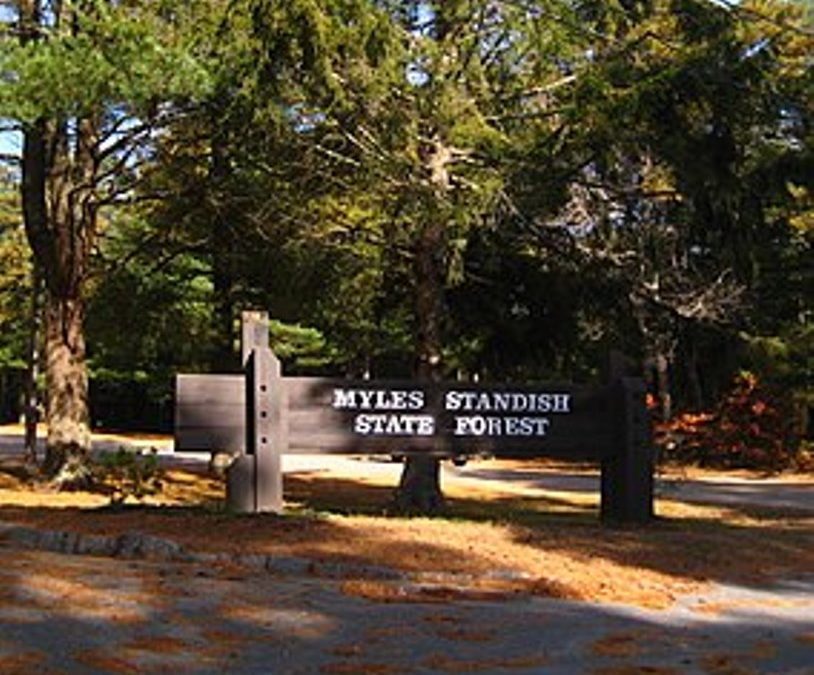 Crews Respond To Fire At Myles Standish State Forest