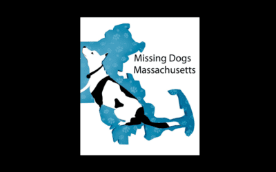 Tuesday, April 23, 2024 on The Morning Show