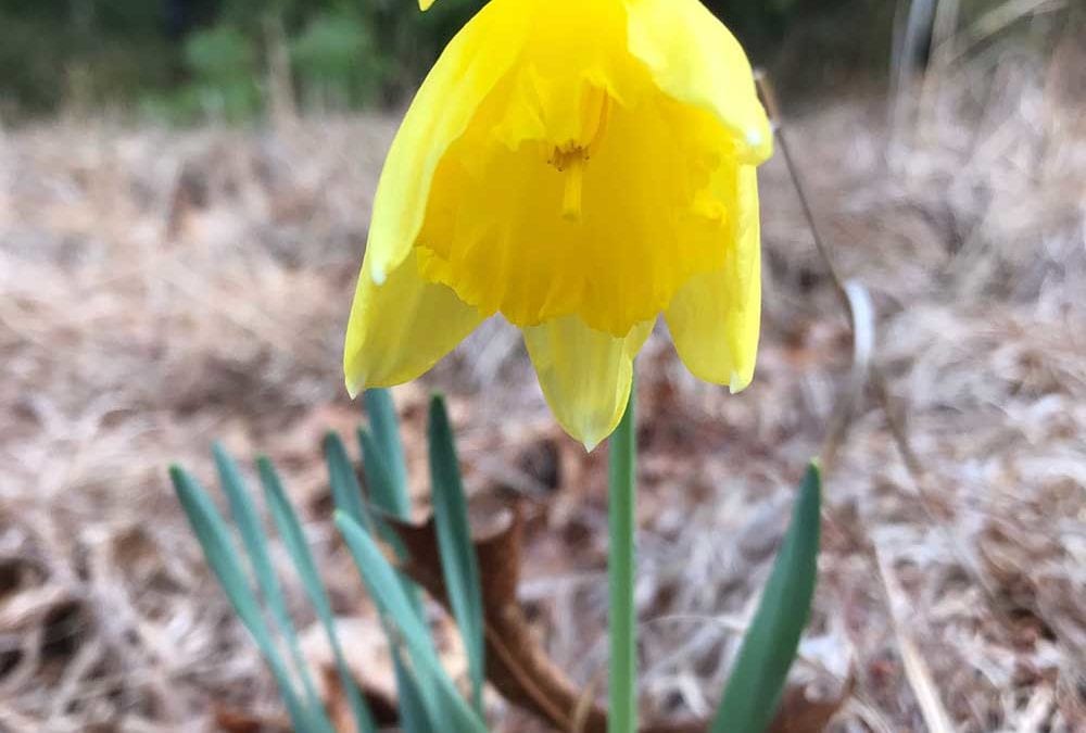 Walk of the Week: 04.06.23