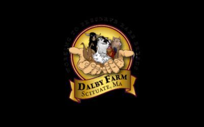 The Morning Show: Tues., June 15, 2021