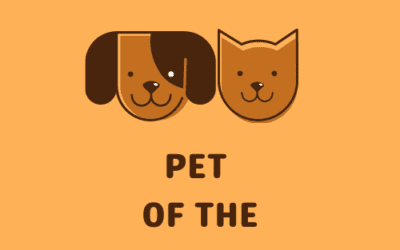 The Morning Show: Mon., Sept. 4., 2023