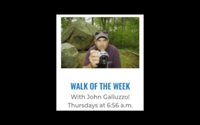 Walk of the Week: April 13, 2023
