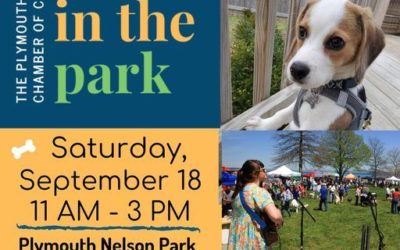 Bark in the Park Community Event in Plymouth
