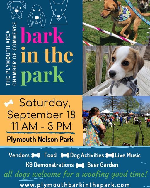 Bark in the Park Community Event in Plymouth