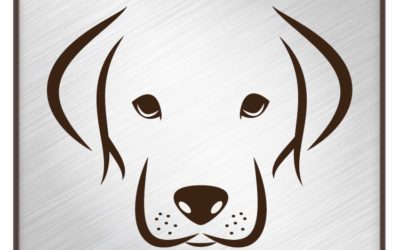 The Morning Show: Tues., Aug. 10, 2021