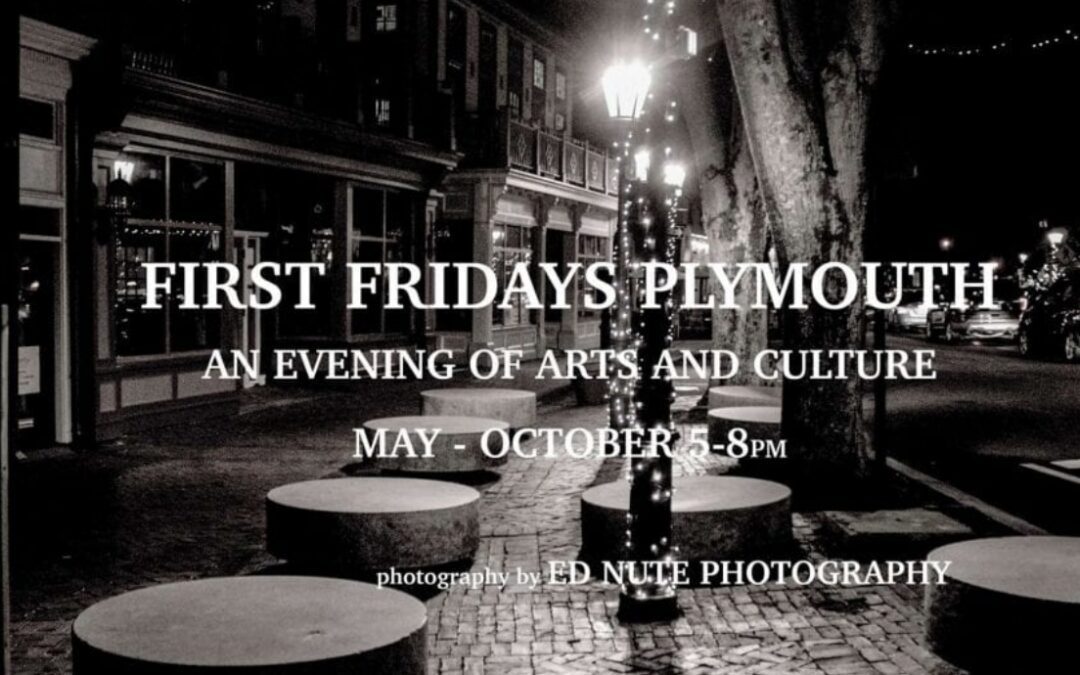 Live Broadcast with Liz Raven at See Plymouth Headquarters