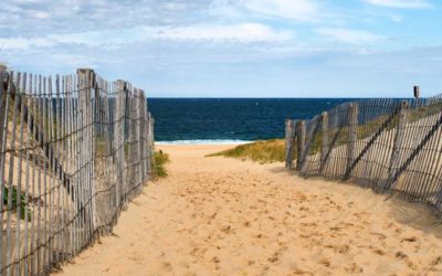 Beach Closures Announced In Plymouth