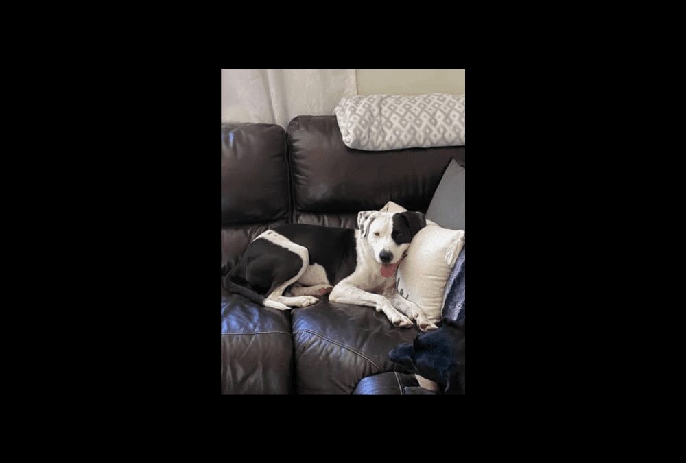 Betty Lou is Looking for You!