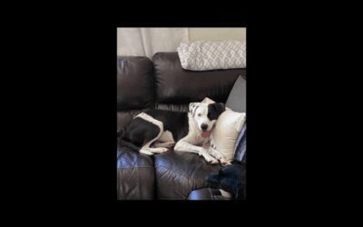 Betty Lou is Looking for You!