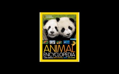 The Morning Show: Tues., Nov. 9, 2021