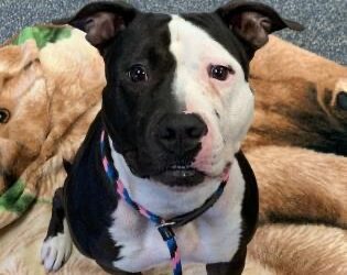 Can Becky Be Your Forever Friend?