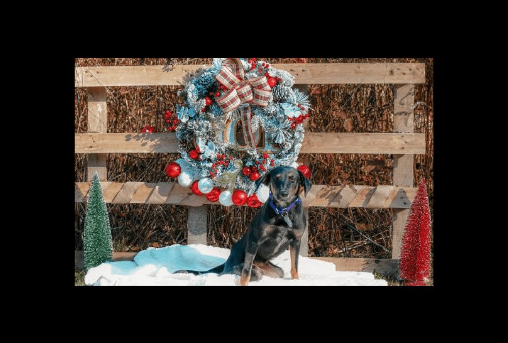 Shining the light on Hope