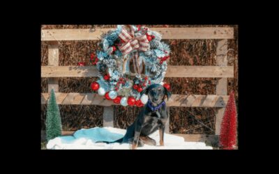 Shining the light on Hope