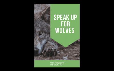 The Morning Show: Tues., Nov. 16, 2021