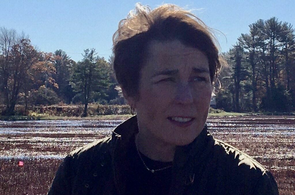 Attorney General Healey Visits Plymouth Cranberry Bog