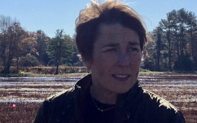 Attorney General Healey Visits Plymouth Cranberry Bog