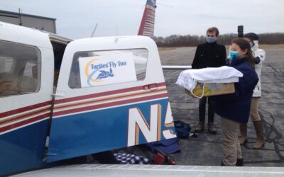 Rescued Turtles Fly Out of Marshfield Airport Headed for Rehabilitation